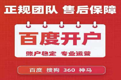 知名SEM服务公司成功案例分享